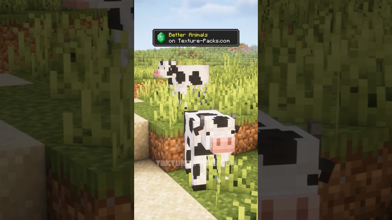 TOP 3 Vanilla-like Texture Packs for Minecraft &hearts;️