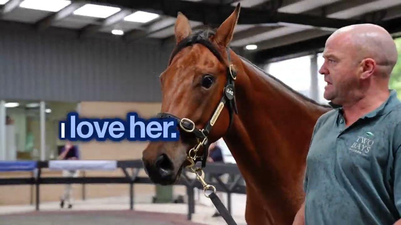 Bjorn Baker buys Street Boss filly at 2026 Inglis Premier Sale. Lot 246 Street Boss x Orizaba filly