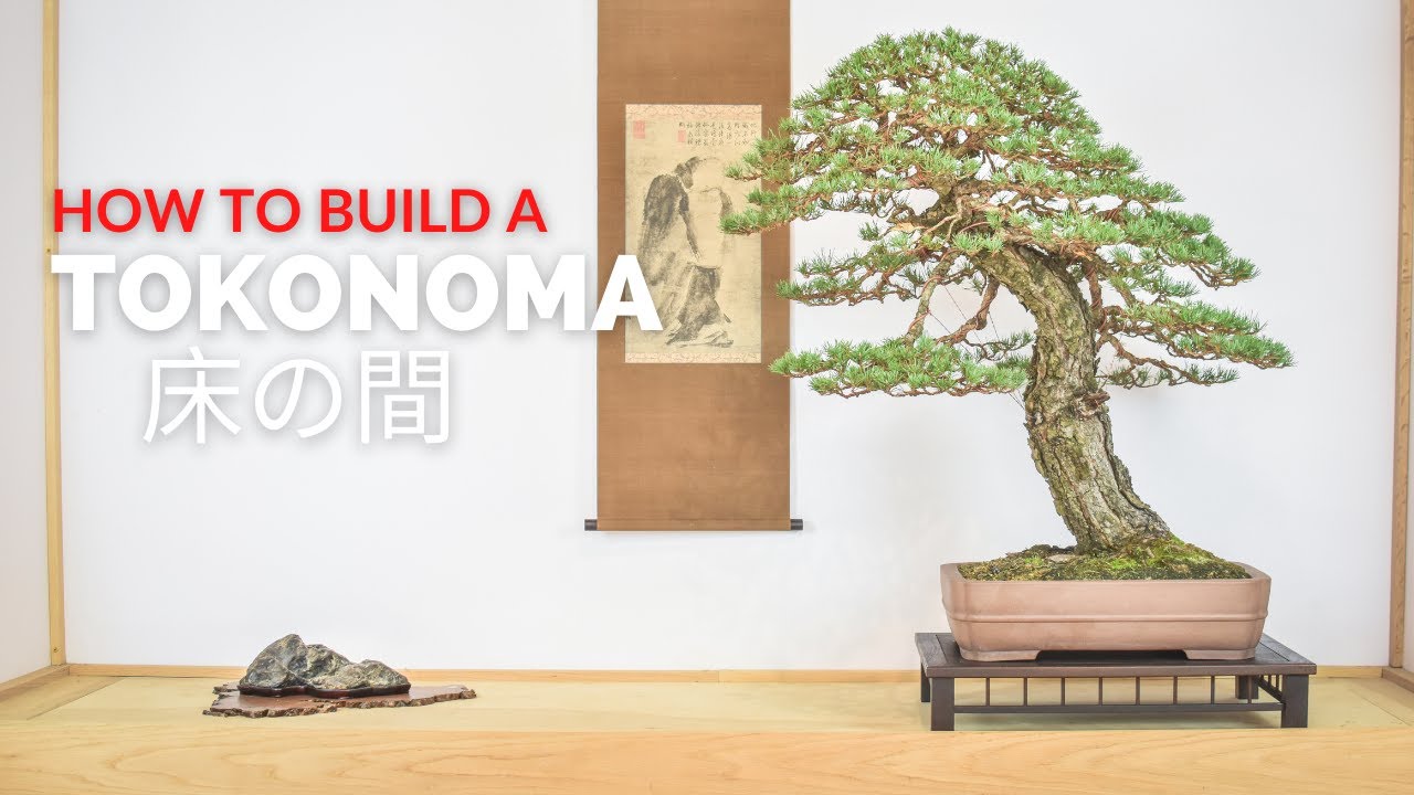 How to Build a Tokonoma | Bonsai-U