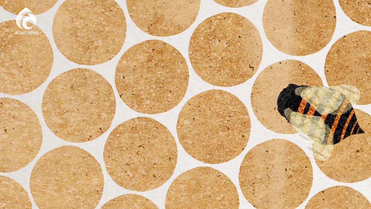 Омарташы \ Ерен еңбек \ Асыл арна