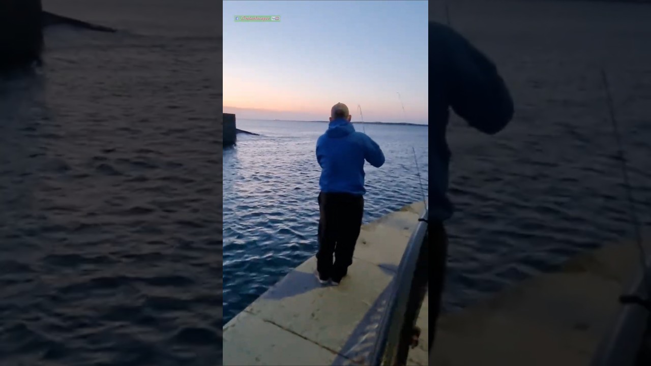 Donaghadee - Fishing Light At The Harbour - N Irish Angling Scene #ifishing