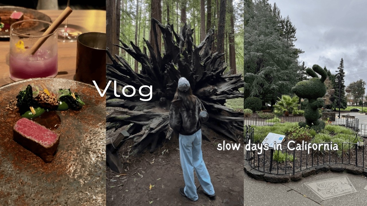 Creative Jewelry Design: My Trip from San Francisco to Santa Rosa