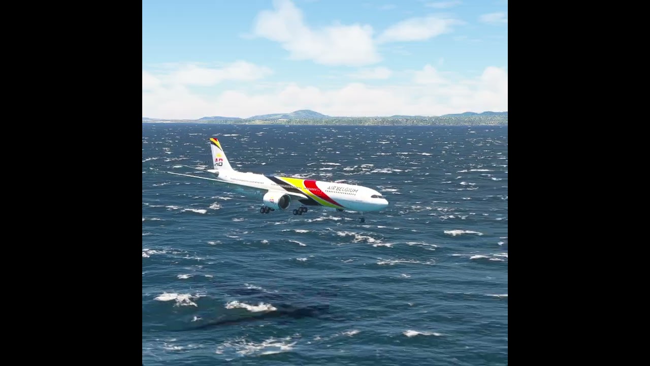 the pilot's actions endangered the plane's passengers EP279