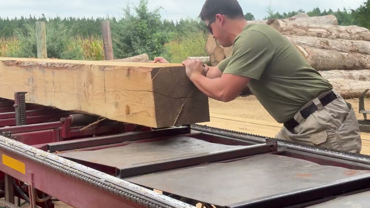 Сегодня снова побывали в зарослях белого дуба! На судне AC36 компании Cooks.