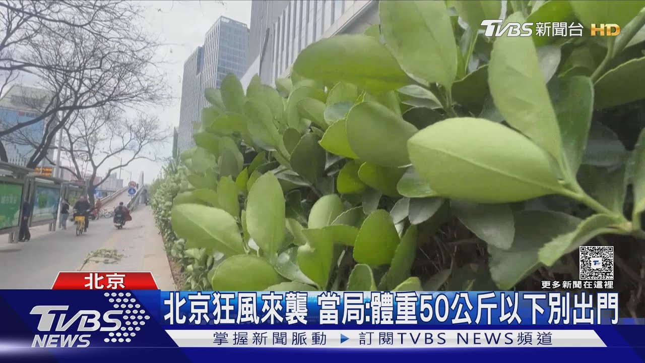 北京狂風來襲 當局:體重50公斤以下別出門｜TVBS新聞 @TVBSNEWS01