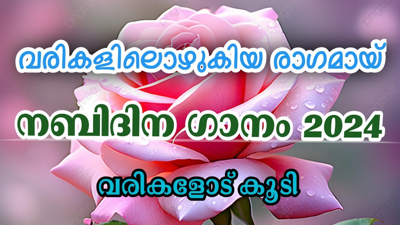 New Nabidina Song 2025 | New Nabidina Song Lyrics | Nabidina Song 2025 | Latest Nabidina Song 2025