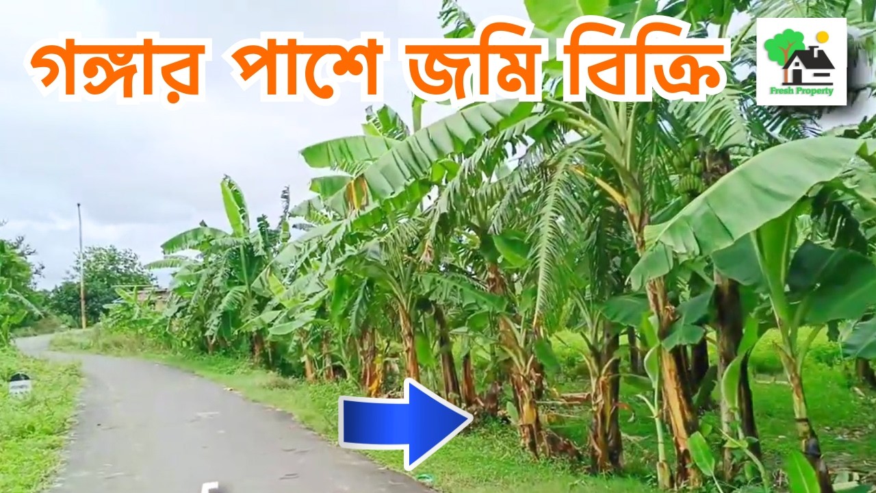 Fp - 1456 | গঙ্গার পাশে জমি বিক্রি | 9073 145 145
