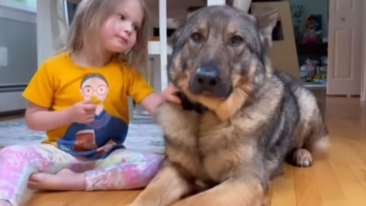 El Vínculo Inquebrantable Entre Un Perro Policía Y La Hijita De Su Compañero