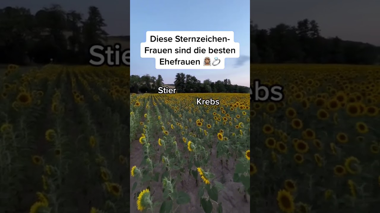 Diese Sternzeichen-Frauen sind die besten Ehefrauen💍 #sternzeichen #orakel #horoskop #astrologie