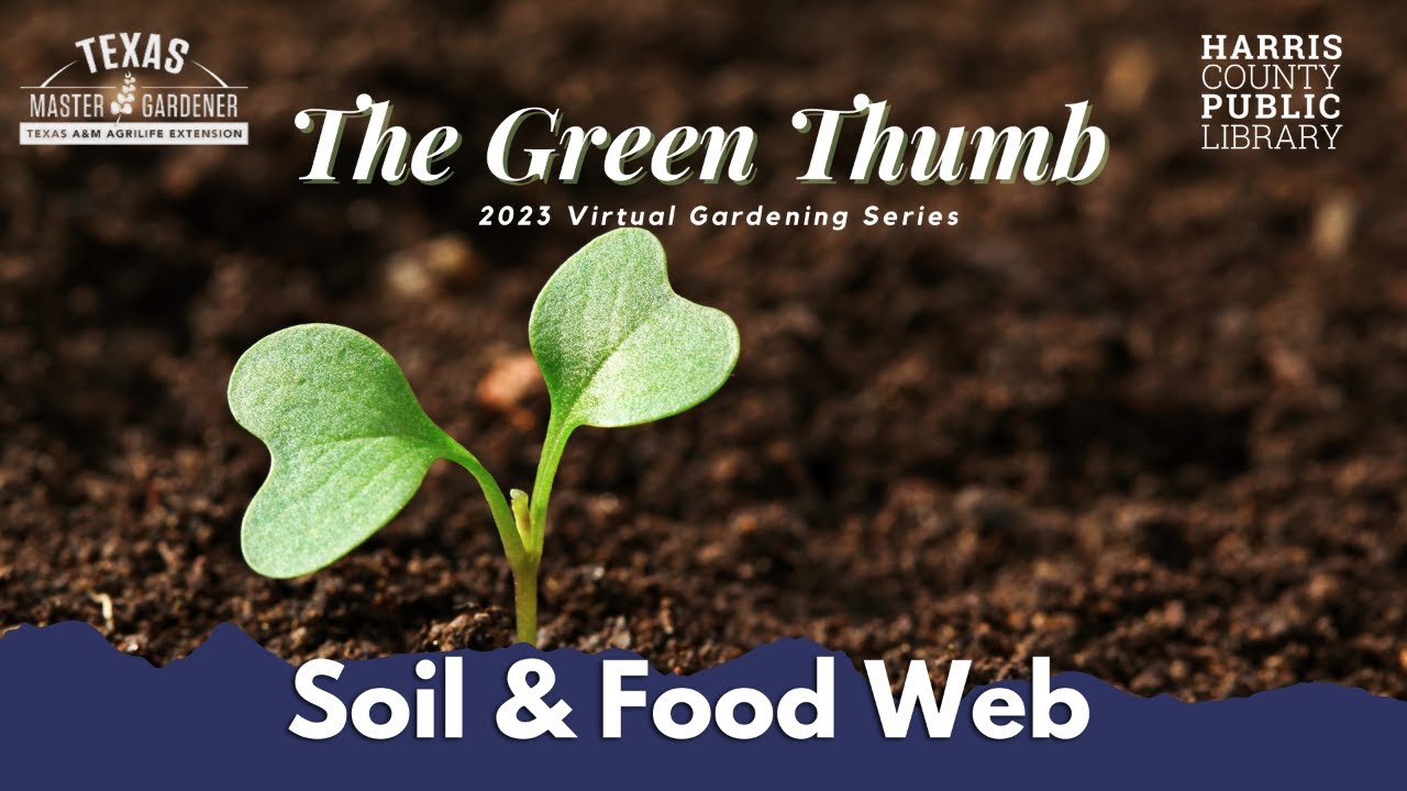 The Green Thumb with the Master Gardeners: Soil & Food Web