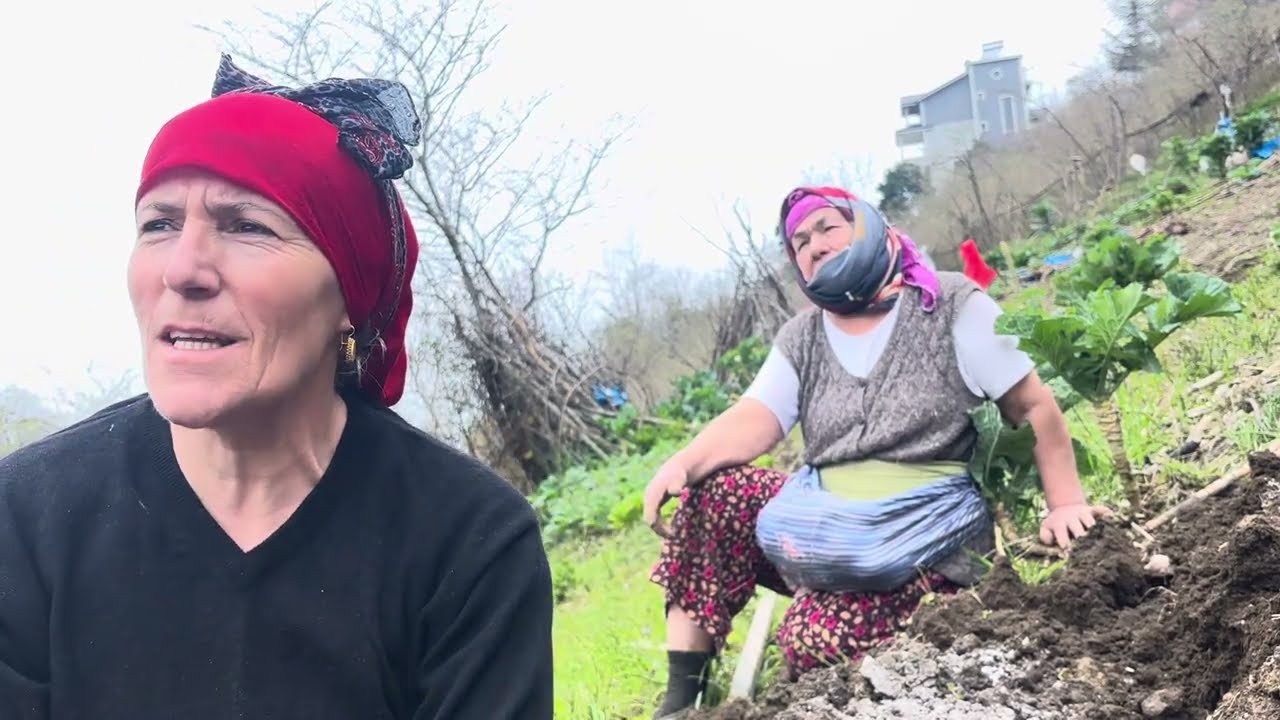 ABLAMSIZ OLURMU? #ablam  #ablakardeş  #işler  #işlergüçler  #sohbet  #muhabbet 