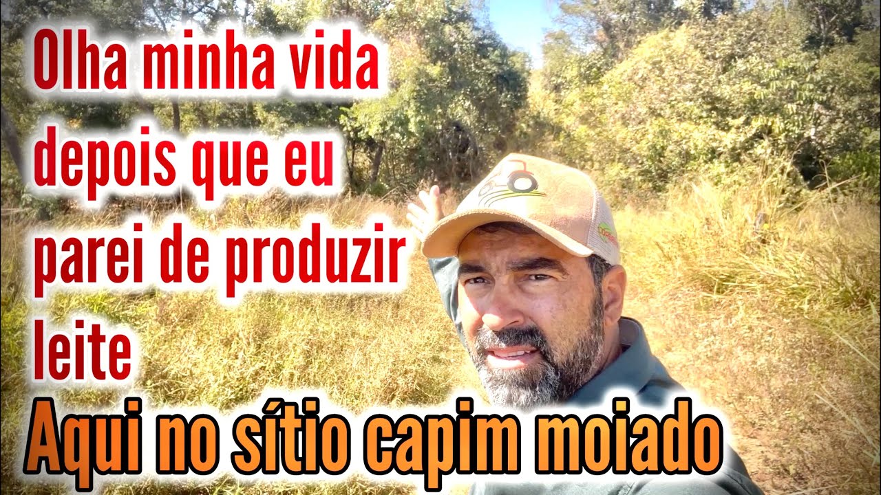 COMO VAI MINHA VIDA APÓS EU PARAR COM LEITE | EXISTE ALGO MELHOR QUE PRODUZIR LEITE NA TERRA PEQUENA