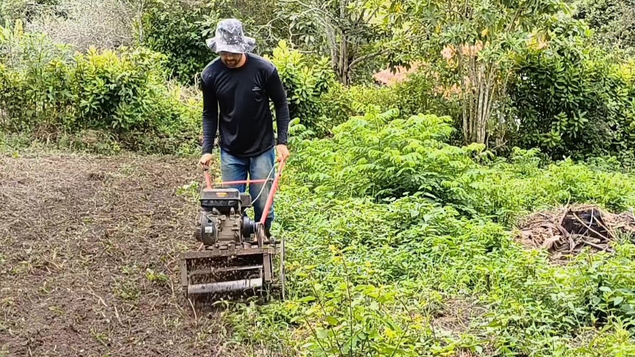 cultivador tratorito  caseiro preparando terreno para plantar milho 🌽 🌽 🌽 🌽