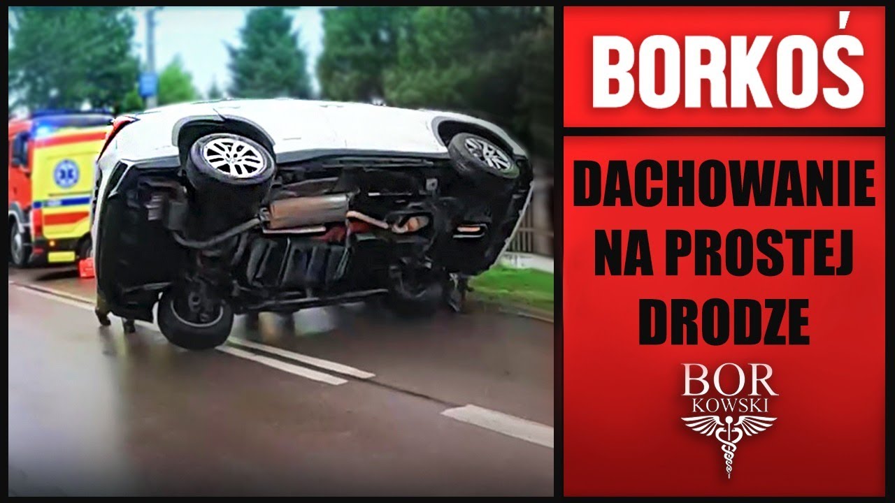 BORKOŚ - DACHOWANIE NA PROSTEJ DRODZE