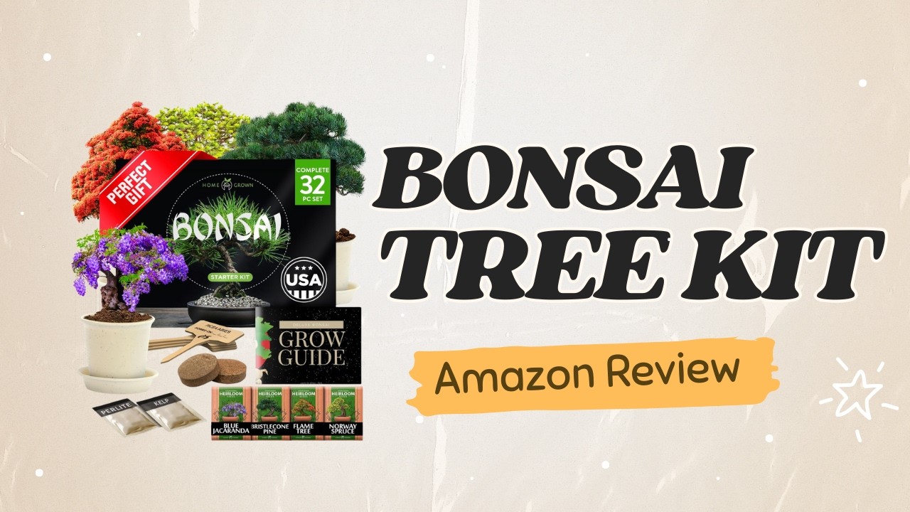 Bonsai Tree Kit - Unboxing and Planting!