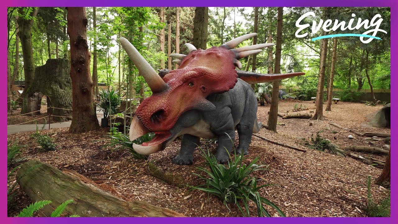Fossil fun for everyone: Woodland Park Zoo&rsquo;s interactive dinosaur exhibit