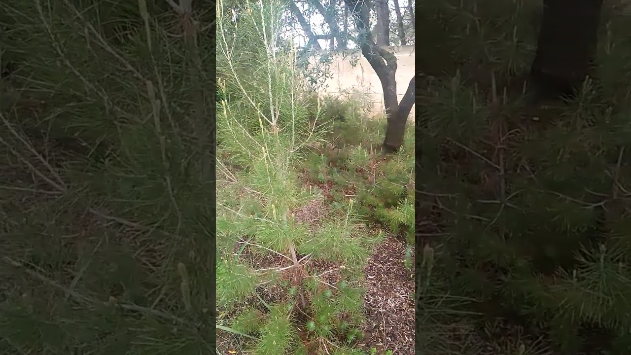 Menomale che ci pensa la natura Noi invece la distruggiamo