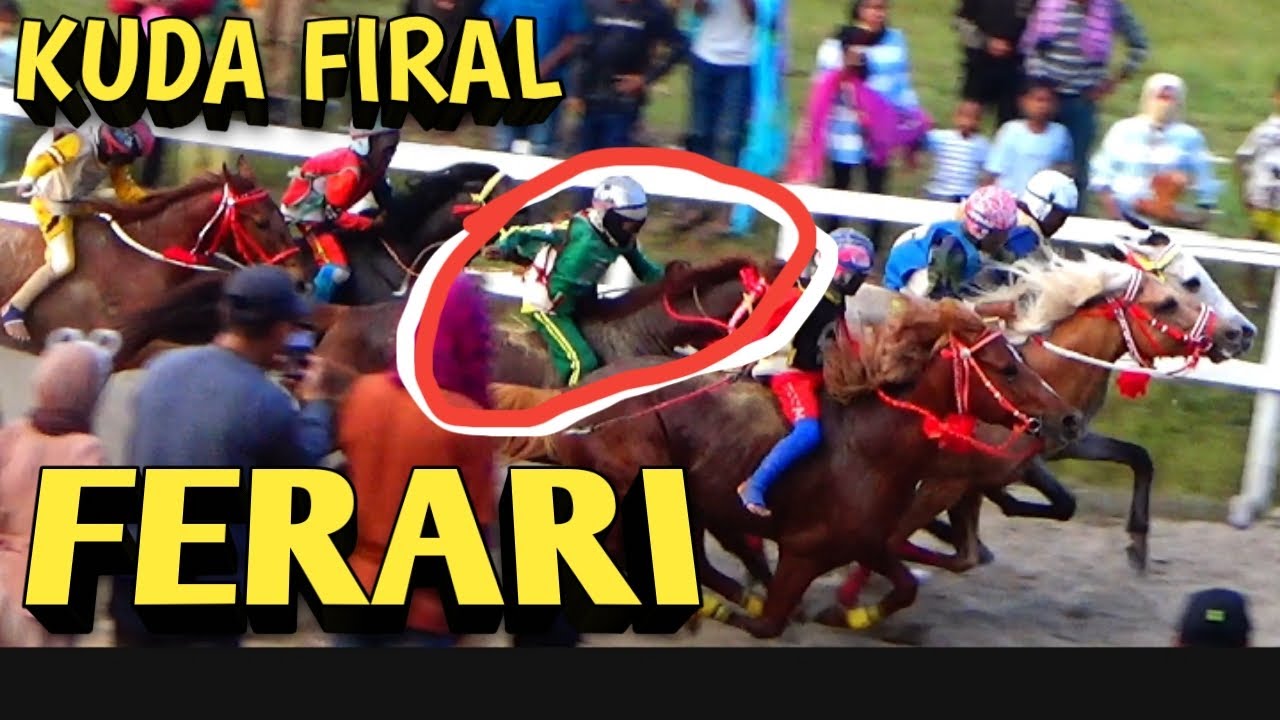 FERARI KUDA FIRAL NTB !!! PACUAN KUDA NTB !!! PAS FINAL PACUAN KUDA LEPADI DOMPU 2024