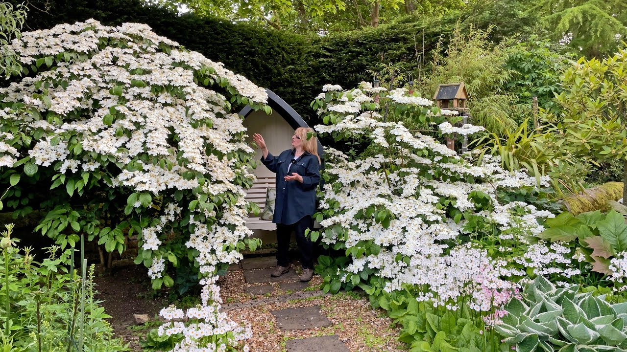White Garden Tour and catching up with summer jobs.