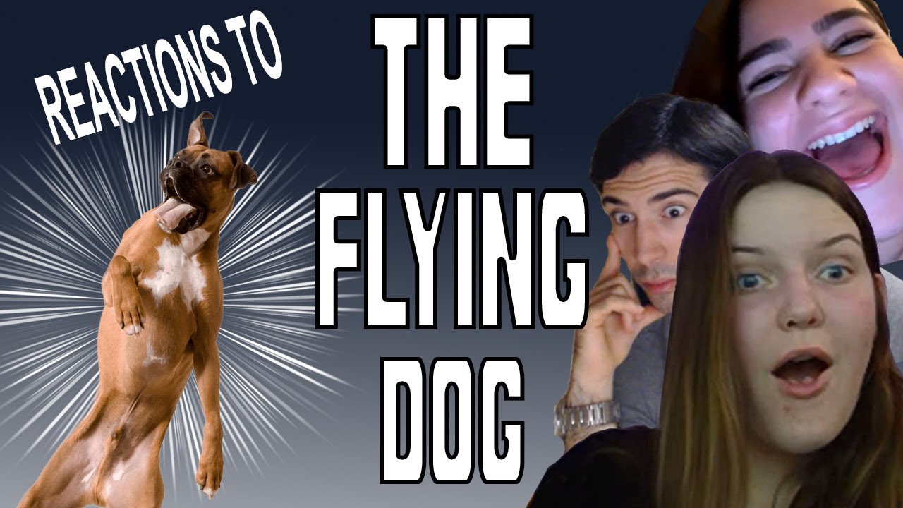 The FLYING DOG 🐶 *omegle prank*