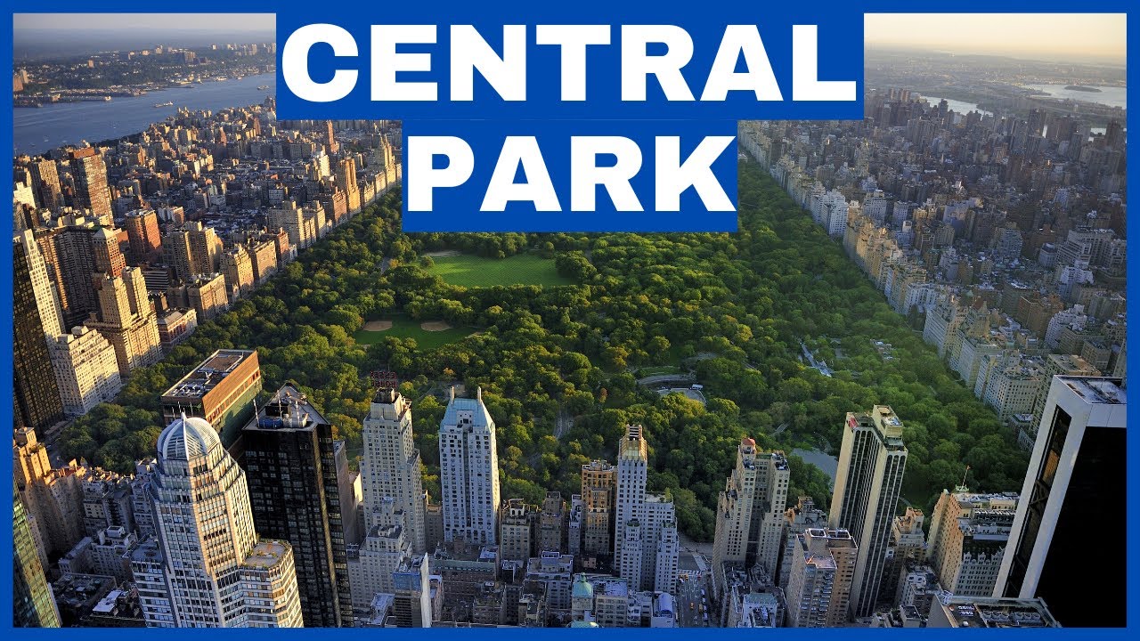 [4K] Walk CENTRAL PARK NYC - Ice skating [4K] #thetruthaboutcentralpark #brownandbeachy