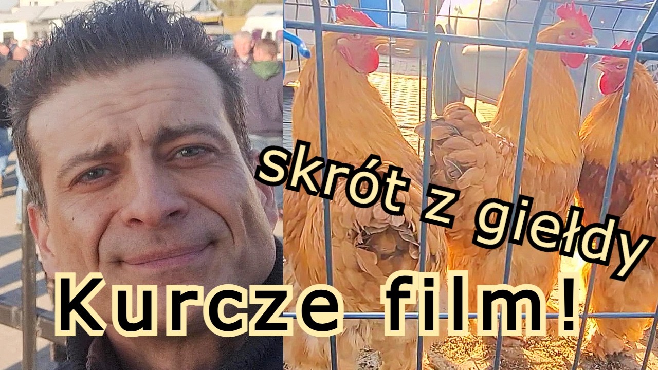 Giełda Chmielnik pełny plac