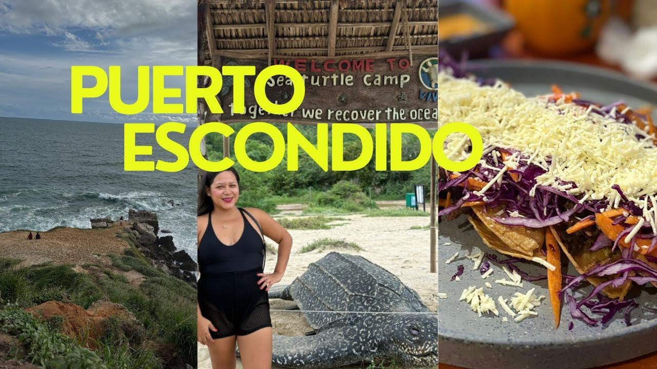 Un Día en Puerto Escondido: Zicatela, Playa Bacocho, Mirador Tortugas y Tlayudas ✈️