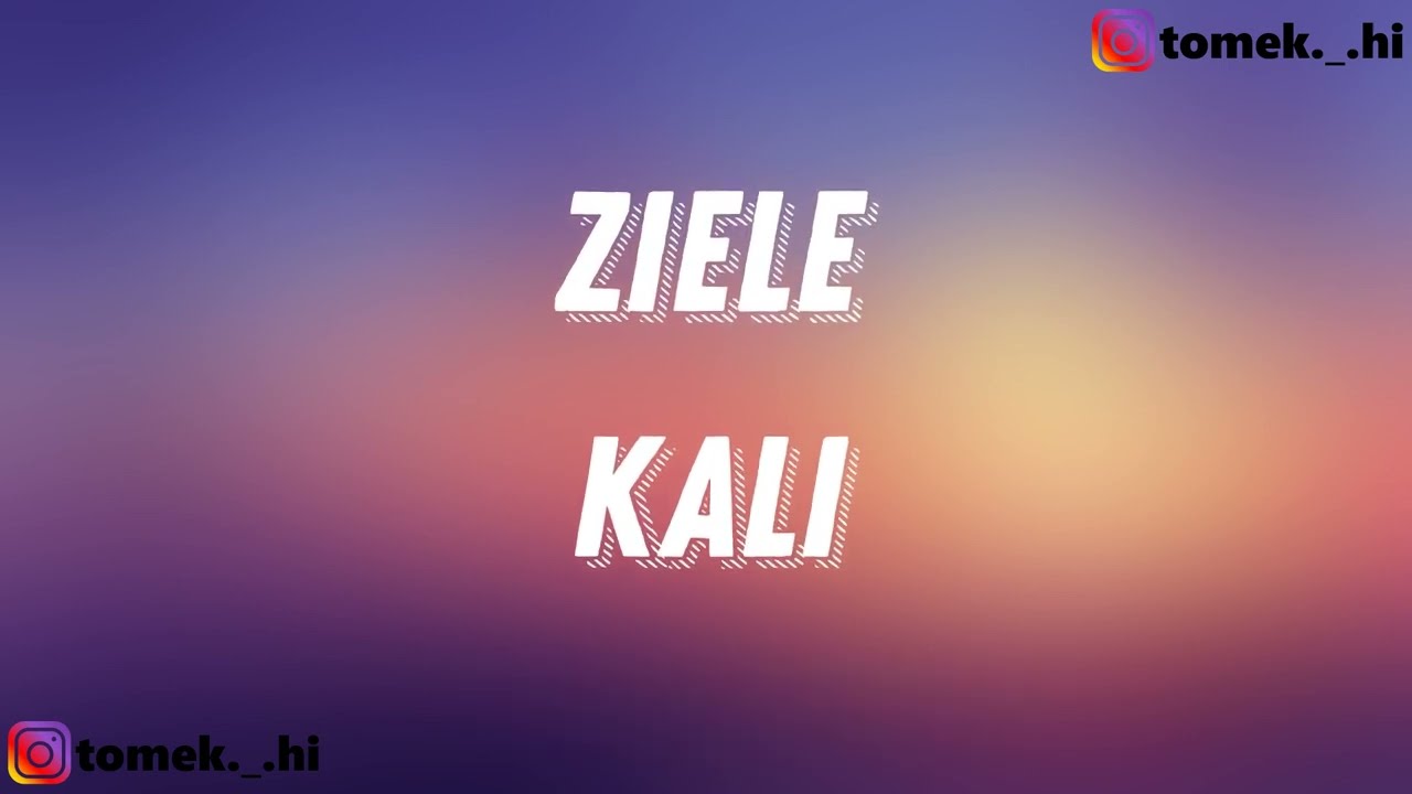 Kali - Ziele (TEKST/LYRICS)