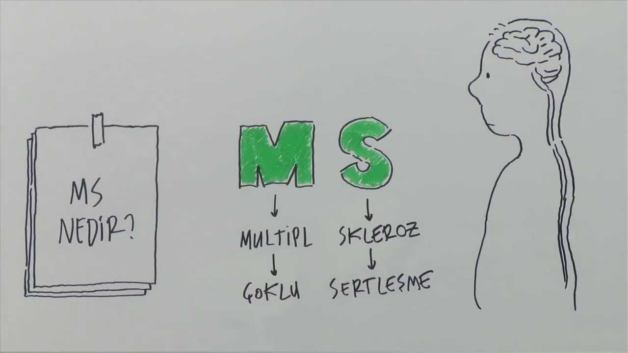 MS (Multipl Skleroz)  Nedir?