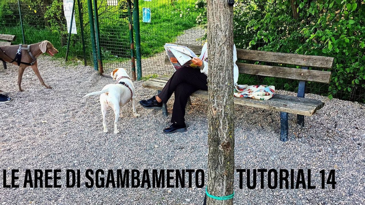 Area Cani