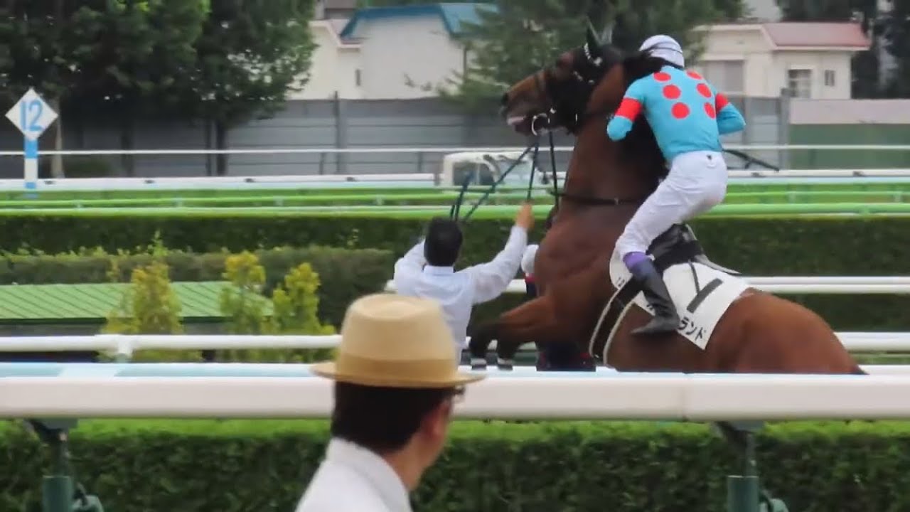 【現地】癖馬たちを巧みに操る武豊騎手と佐々木大輔騎手【札幌最終レース】
