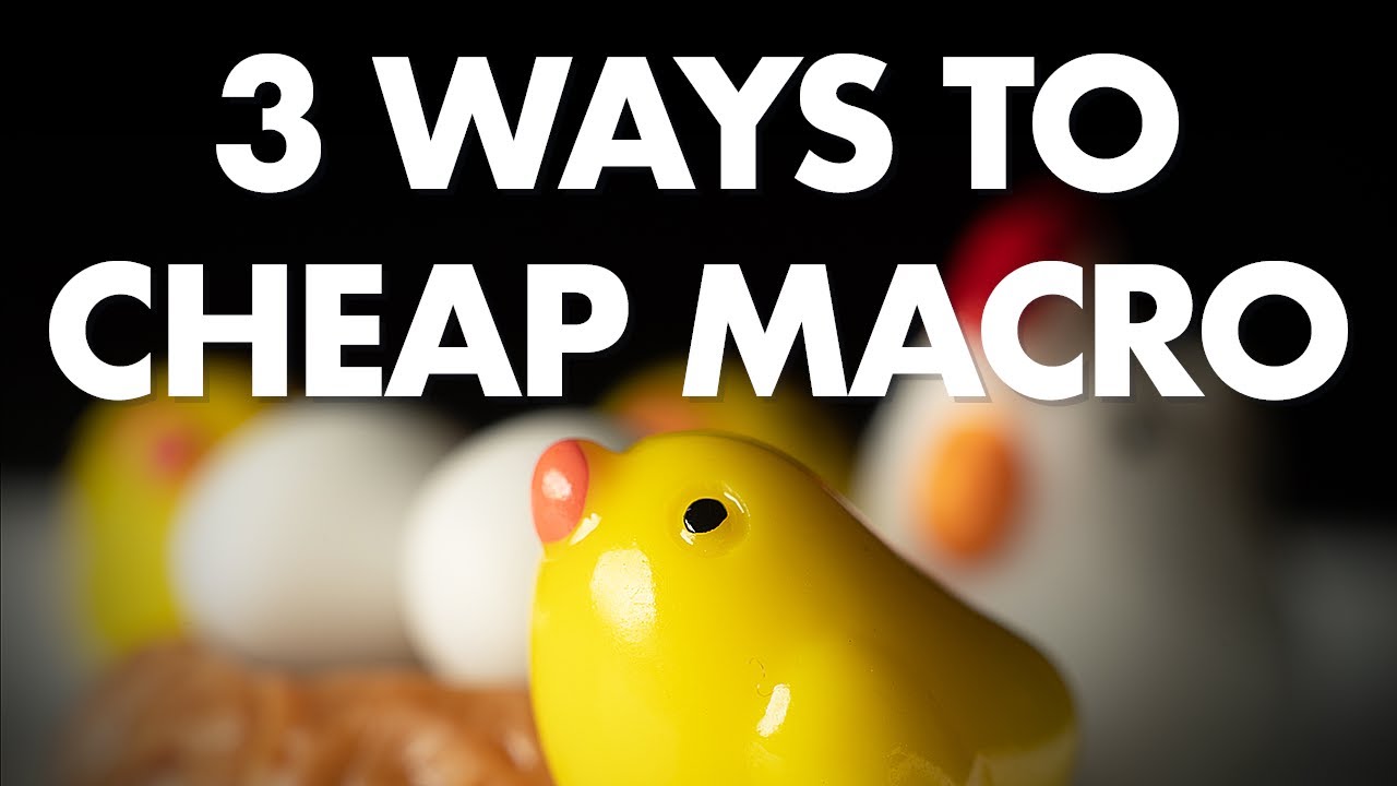 3 Cheapest Ways to do Macro Photography (Raynox 250, Extension Tubes and Reverse lens)
