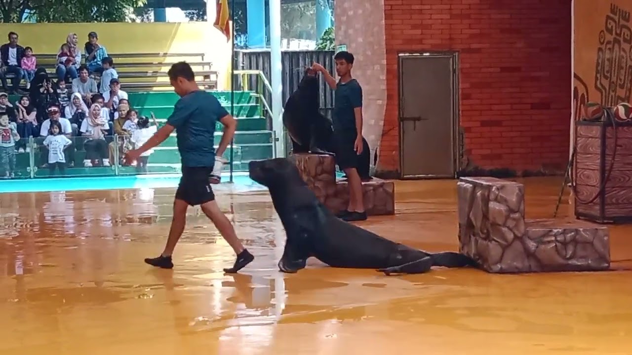 Liburan 