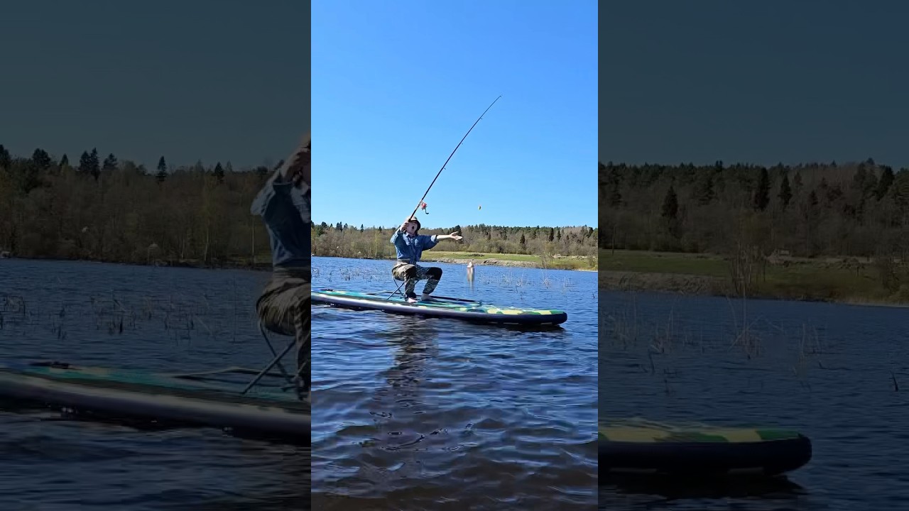 SUP для рыбалки Gladiator Fishing 12&rsquo;6 #paddleboard #sup #сапборд #рыбалка