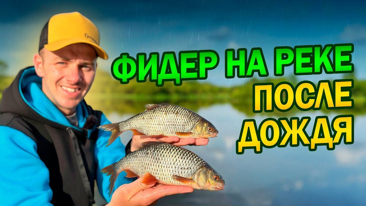 Фидерная рыбалка на плотву - секреты успешной ловли👌 Тактика ловли ✅