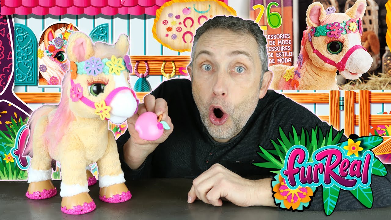 CANNELLE, le petit PONEY COQUET : Une petite boule de poils et d'amour !