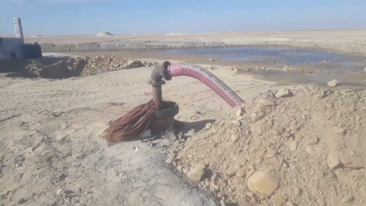 ارض ٢٠٠ فدان للبييع في سهل بركة ٠١١٢٢٤٧٤١٨٩/٠١٠٣٠٠١٥٢٠٣