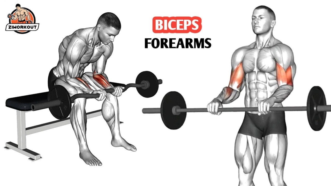 Best Biceps and Forearms Workout 🔥 6 Killer Gym Exercises