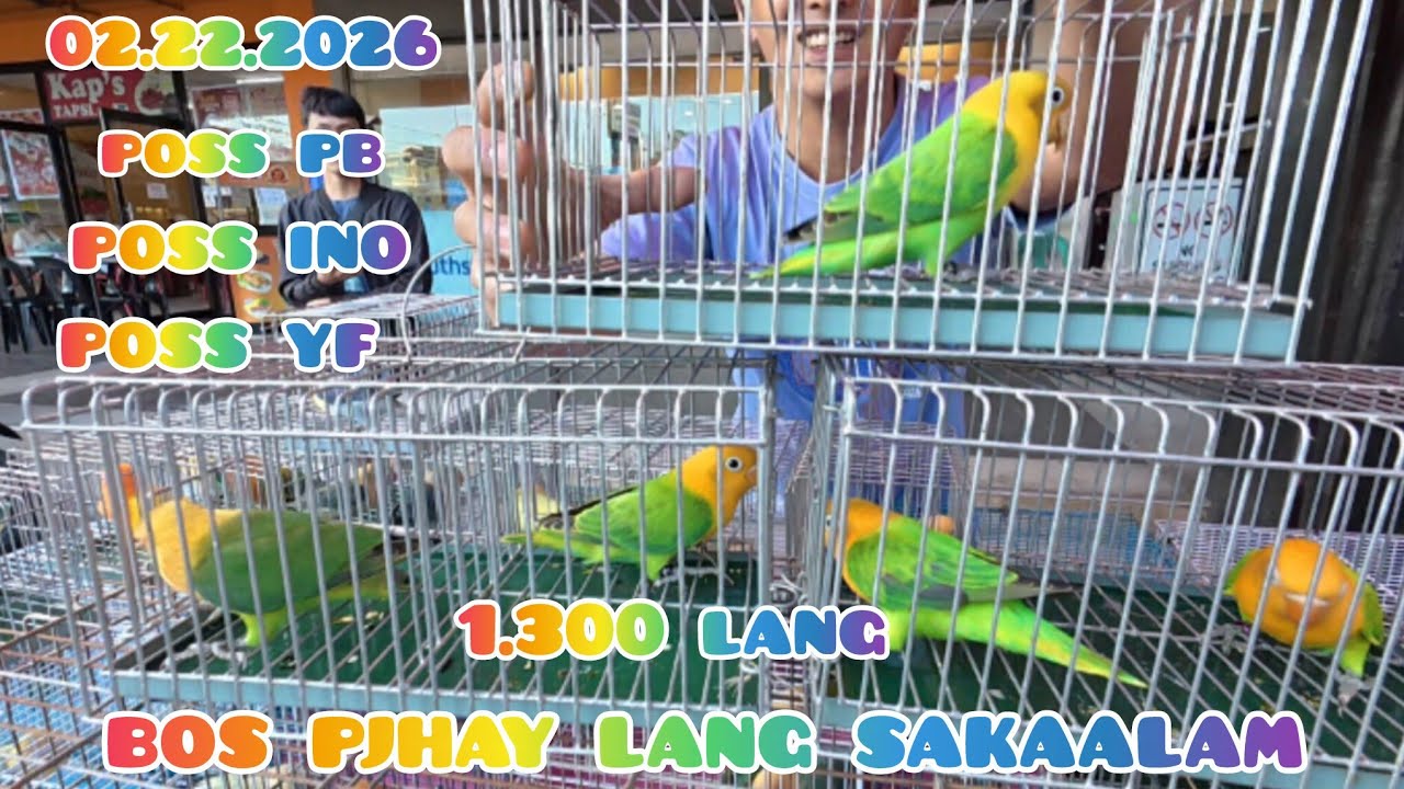 ep#255 02.22.2026. up date Grotto pet market.poss yf poss pb poss ino.1.300 lang bos pjhay sakaalam.