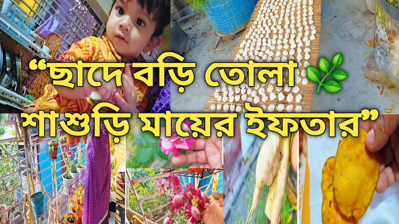✨বিকেলের ঘরোয়া সময় 🌿 ছাদে বড়ি তোলা | শাশুড়ি মায়ের ইফতার প্রস্তুতি