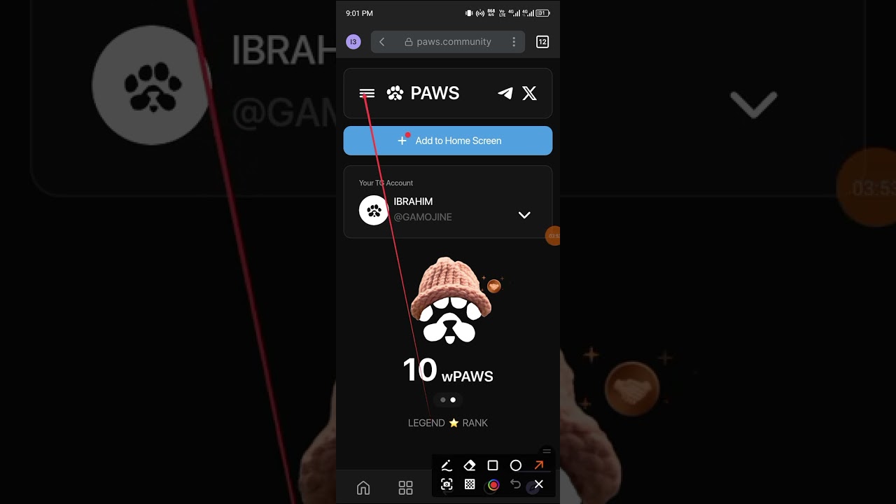 PAWS LAST MANDATORY TASKS: ACTIVITY CHECK ✅ AND MULTIPLE ACCOUNTS SOLUTIONS.