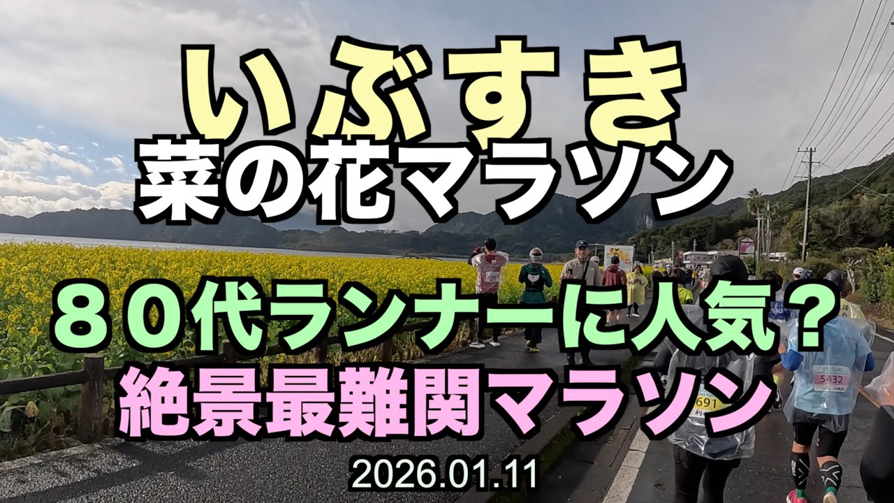 【鹿児島】坂しかない！超難関の絶景いぶすきマラソン！ #いぶすきマラソン  #いぶすき菜の花マラソン #サブ４ #サブ35 2026.01.11
