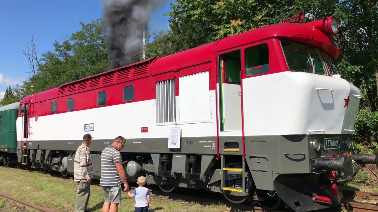 T478.1001 
