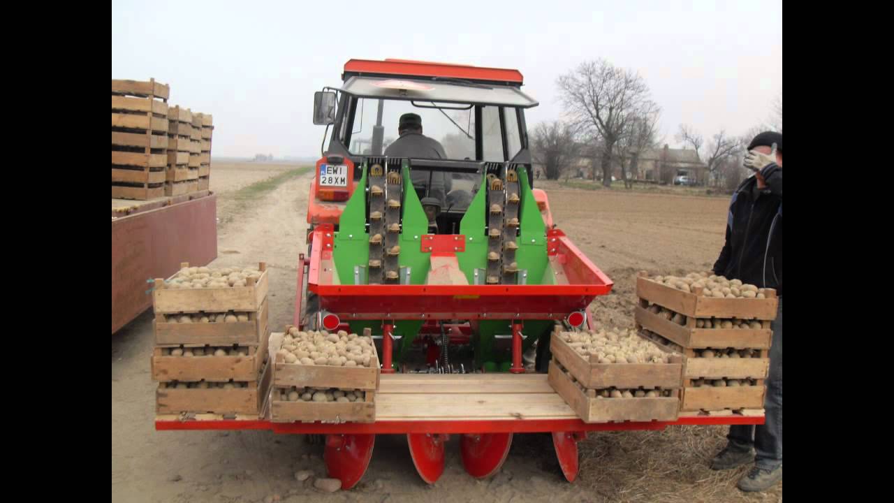 Sadzenie ziemniaków - URSUS 2812 i UNIA KORA 2.
