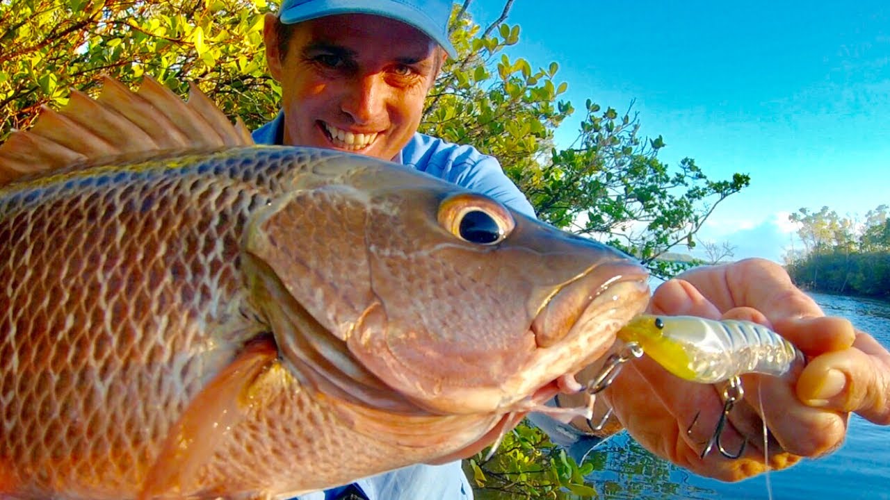 Mangrove Jack Topwater Tactics — НОВАЯ ПРИМАНКА НА КРЕВЕТКУ!