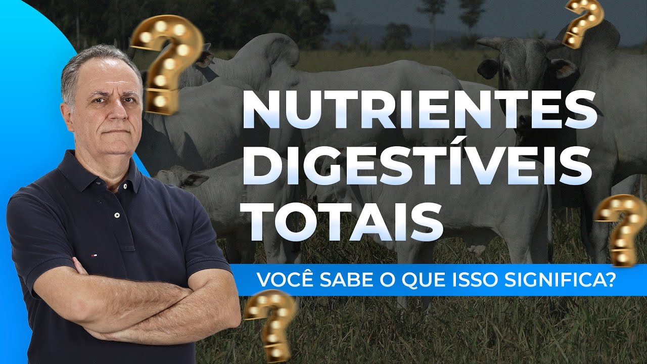 Aprenda de uma vez por todas o que significa NDT
