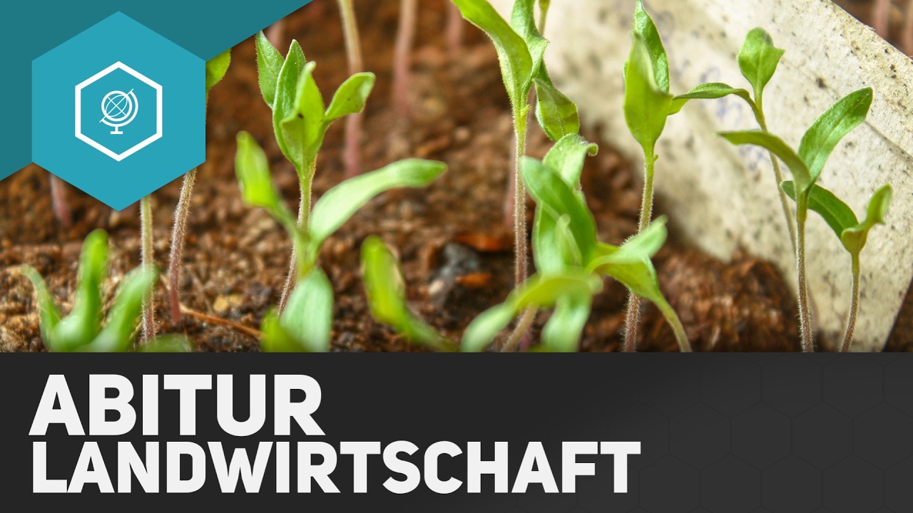 Landwirtschaft Zusammenfassung fürs Abitur - Landwirtschaft in Industrieländern 9
