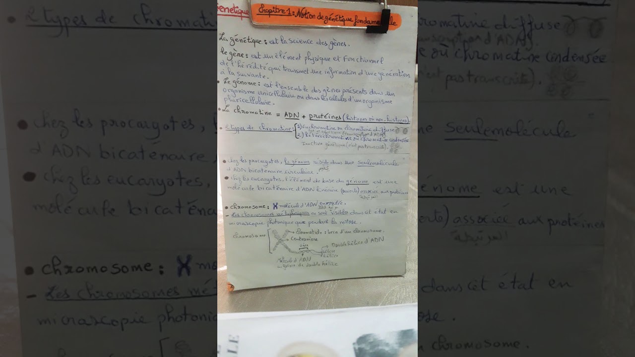 Notions de génétique (1)