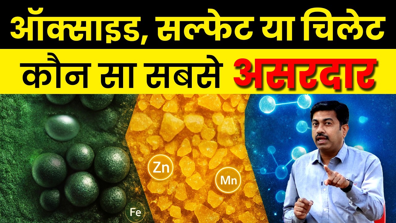 🌿 Sulphate vs Oxide vs Chelated Micronutrients | फसल के लिए कौन सा बेहतर है? | Fertilizer | AgroStar