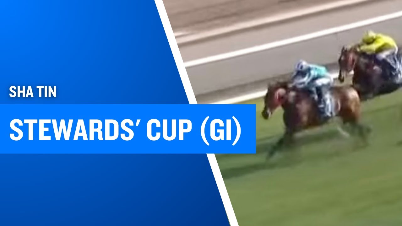 A True Champion! Romantic Warrior Wins the Stewards' Cup